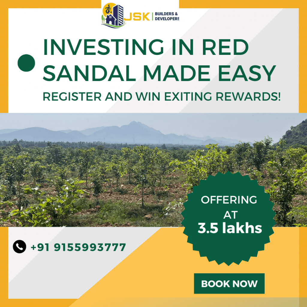 Red Sandalwood Plantation | Sree Gayathri Vanam | Kanigiri Mandal |  Prakasam District | Plots Kaka - YouTube